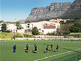Astroturf Kopano