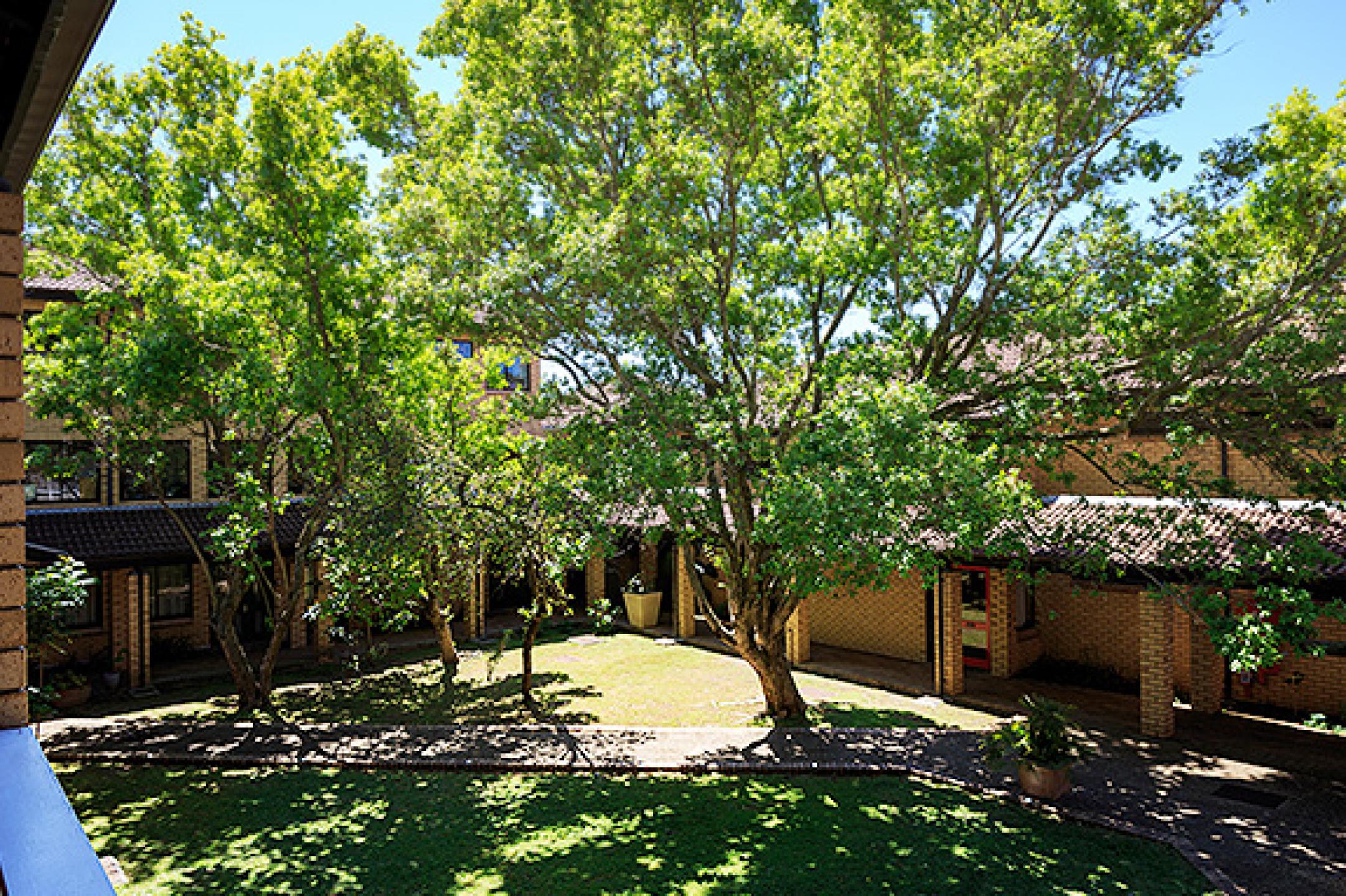 Courtyard All Africa House - courtyard