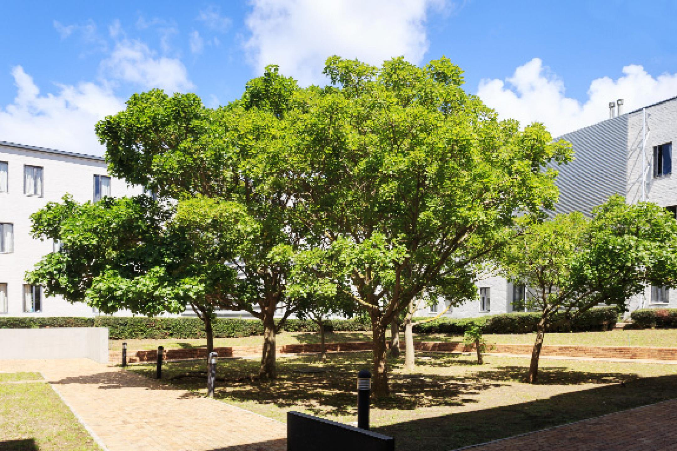 Graça Machel Hall - courtyard