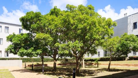 Graça Machel Hall - courtyard