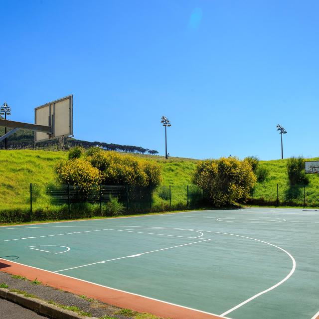 Forest Hill - basketball court